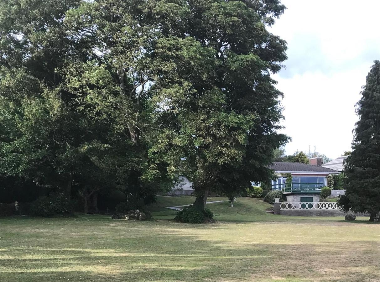 St Kyrans Guest House فرجينيا المظهر الخارجي الصورة