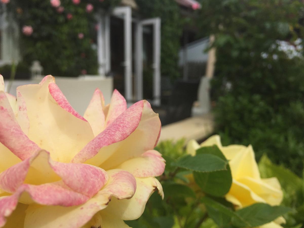 St Kyrans Guest House فرجينيا المظهر الخارجي الصورة