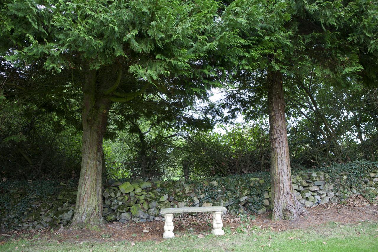 St Kyrans Guest House فرجينيا المظهر الخارجي الصورة